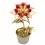 Tender Red Flower cu Swarovski