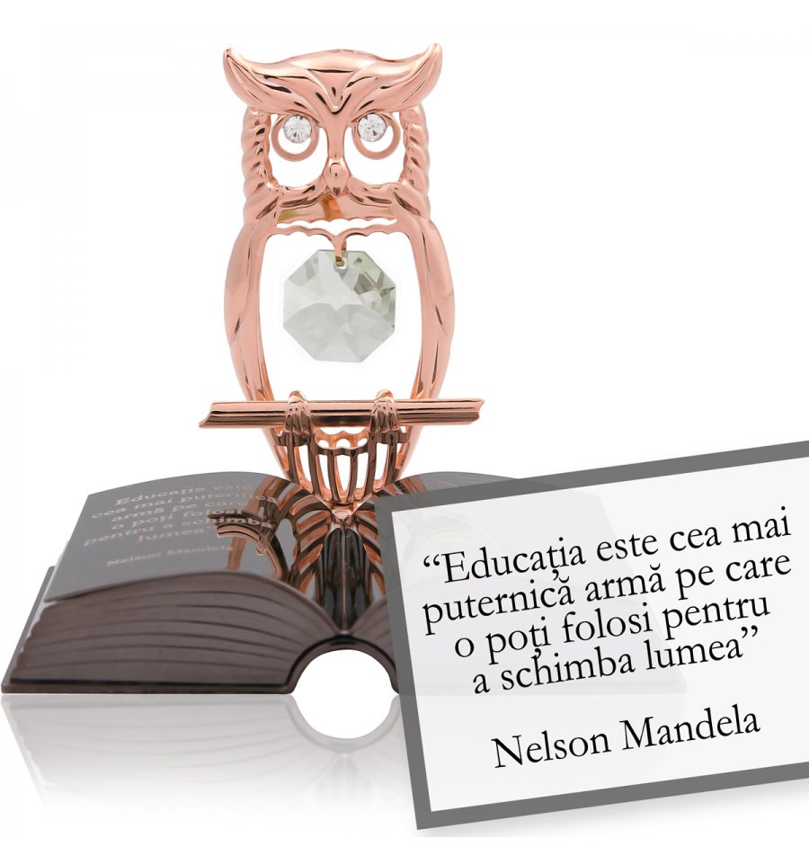 Nelson Mandeladespre educatieCitat motivational