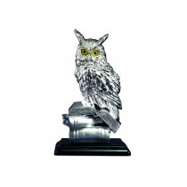 Decoratiune din argint "The Wise Owl"