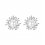 Cercei din argint Luxury Silver Snow Flake and Pearl