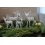 Decoratiune argintata Rudolph Reindeer - 21 cm