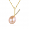 Colier din Argint 925 Shiny Gold V