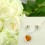 SINCERITATE - 11 Trandafiri cu set SWAROVSKI