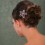 Clama de par in forma de stea cu cristale Swarovski