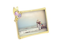Rama foto cu porumbel Swarovski