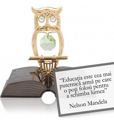 Nelson Mandela - Despre educatie "Citate motivationale cu cristale Swarovski"