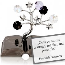 Friedrich Nietzsche - Despre viata - Colectia "Citate motivationale cu cristale Swarovski"