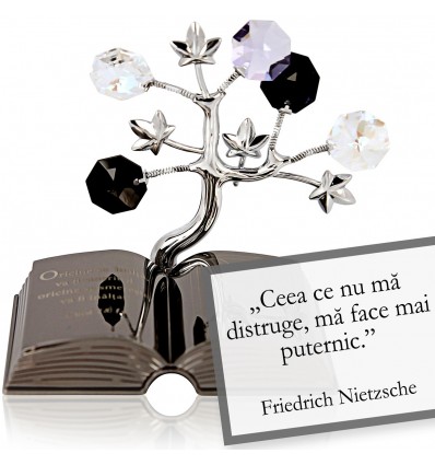 Friedrich Nietzsche - Despre viata - Colectia "Citate motivationale cu cristale Swarovski"