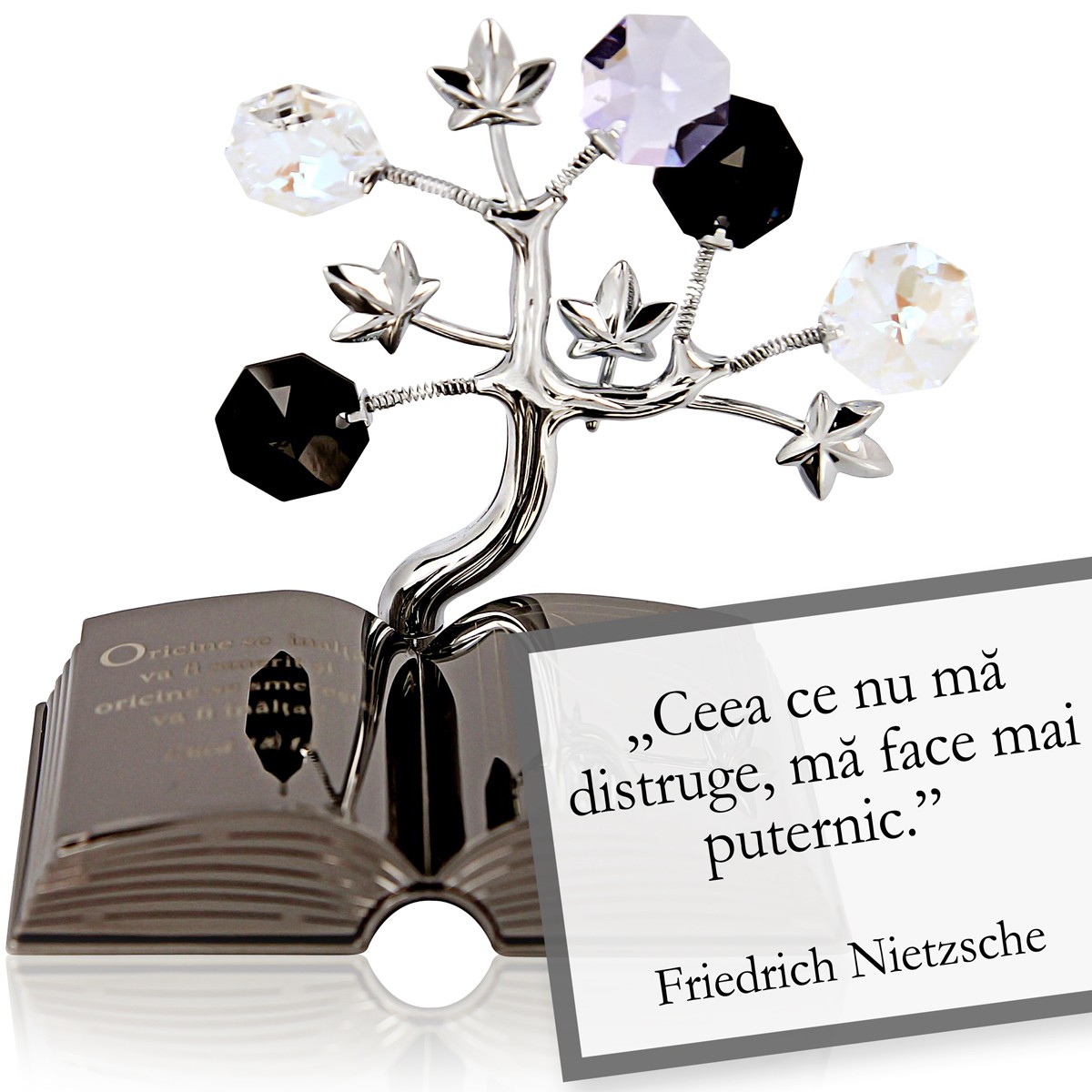 Friedrich Nietzsche Despre viata Colectia "Citate